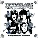 CD - The Tremeloes - What A State I'm In