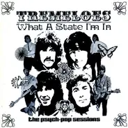 The Tremeloes - What A State I'm In