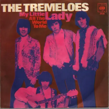 The Tremeloes - My Little Lady