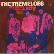 Tremeloes - My Little Lady