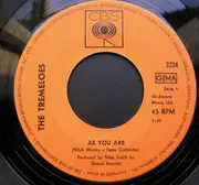 7inch Vinyl Single - The Tremeloes - As You Are