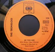 The Tremeloes - As You Are