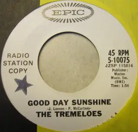 The Tremeloes - Good Day Sunshine