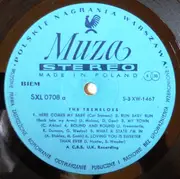 LP - The Tremeloes - Here Come The Tremeloes