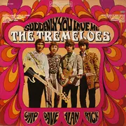 LP - The Tremeloes - Suddenly You Love Me