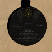 LP - The Tremeloes - Shiner