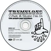 CD - The Tremeloes - What A State I'm In