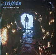 12'' - The Triffids - Bury Me Deep In Love