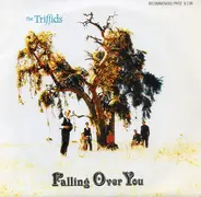 The Triffids - Falling Over You