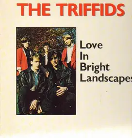 The Triffids - Love in Bright Landscapes