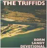 LP - The Triffids - Born Sandy Devotional