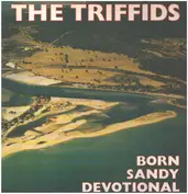 The Triffids