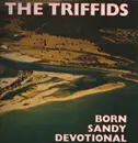 LP - The Triffids - Born Sandy Devotional