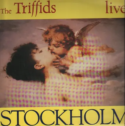 The Triffids - Stockholm - Live