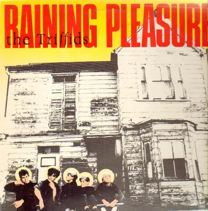 The Triffids - Raining Pleasure