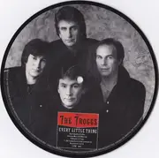 7inch Vinyl Single - The Troggs - Every Little Thing