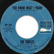 The Turtles - You Know What I Mean