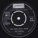 7inch Vinyl Single - The Turtles - You Know What I Mean