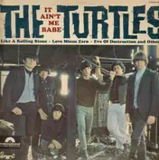 The Turtles