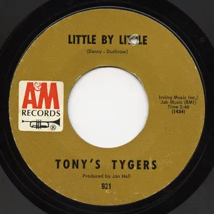 The Tygers - Little By Little / Days And Nights