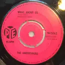 7inch Vinyl Single - The Undertakers - What About Us