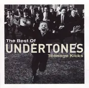 The Undertones - The Best Of The Undertones - Teenage Kicks