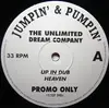 2 x 12'' - The Unlimited Dream Company - Up In Dub Heaven