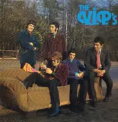 The V.I.P.'s - same