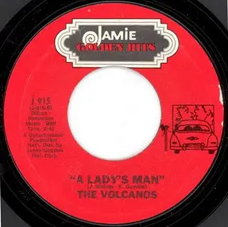 The Volcanos - Storm Warning / A Lady's Man