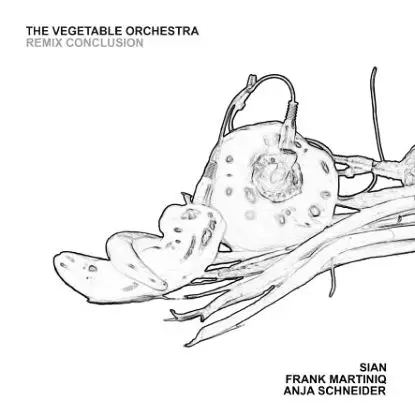 The Vegetable Orchestra - Rmxs By A.schneider, Sian, F.martiniq