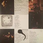 LP - The Veils - Time Stays, We Go - Red Vinyl, CD incl.