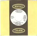 7inch Vinyl Single - The Velvet Hammer - I Was Holding Your Hand