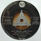 The Versatones - Wait For Me (My Pretty Little Darlin')