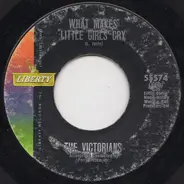 The Victorians - What Makes Little Girls Cry
