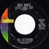 7inch Vinyl Single - The Victorians - What Makes Little Girls Cry