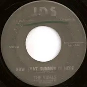 The Videls - Now That Summer Is Here