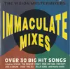 CD - The Vision Mastermixers - Immaculate Mixes