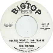 The Visions - Secret World (Of Tears)