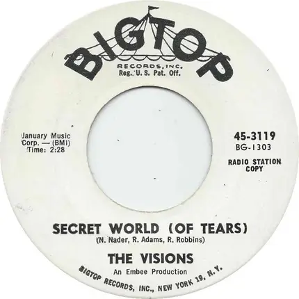 The Visions - Secret World (Of Tears)