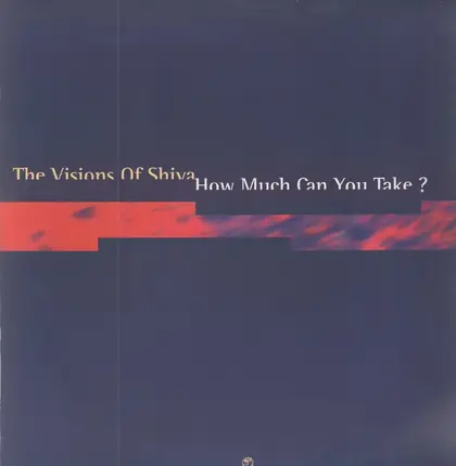 The Visions Of Shiva - How Much Can You Take?