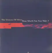 The Visions Of Shiva - How Much Can You Take?