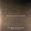 12'' - The vs. Thalamus  Rush - Shock Your Senses (Sensation Black Anthem 2005)