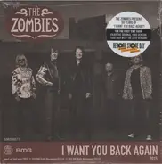 The Zombies - I Want You Back Again