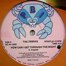 12inch Vinyl Single - The Zebras - How Can I Get Through The Night