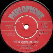 The Temperance Seven - You're Driving Me Crazy