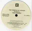 12'' - The Temple Of HipHop - Platform Rapform