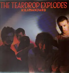 Theteardropexplodes kilimanjaro(5)