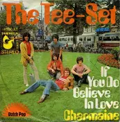 The Tee-Set - If You Do Believe In Love
