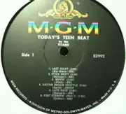 LP - The Titans - Today's Teen Beat
