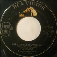 The Tokens - The Lion Sleeps Tonight / Tiina